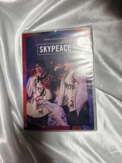 スカイピース/SkyPeace Festival in 日本武道館 — image 1