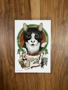 鶴田謙二 CAT フルカラーイラストカード — image 1