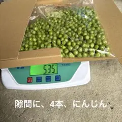 新鮮なグリーンピースと人参のセット — image 1