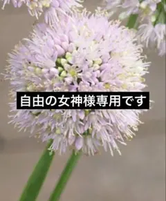 メルカリ便変更代金 — image 1