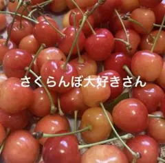 専用です — image 1