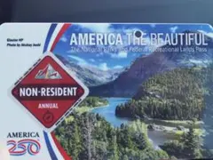 America the Beautiful 非居住者年間パス グランドキャニオン — image 1