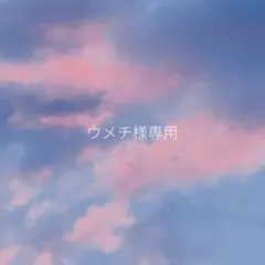 ウメチ様　専用 — image 1
