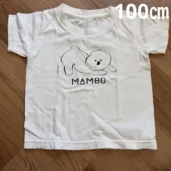 MAMBO Tシャツ ホワイト 100サイズ　マンボ — image 1