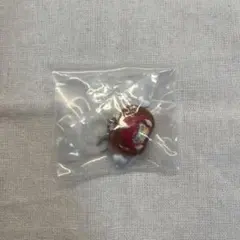 赤見かるび めじるしアクセサリー — image 1
