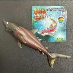 ハビレ　ブックレット オーシャンアタック　&co デアゴスティーニ　アンドコ — image 1