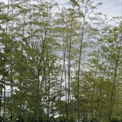 みんさん禁煙者様　専用 — image 1