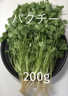 パクチー 香菜 コリアンダー 200g — image 1