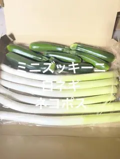 白ネギ　ミニズッキーニ　ネコポス — image 1