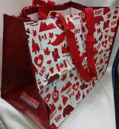 Costco Wholesale コストコ　ショッパー エコバッグ — image 1