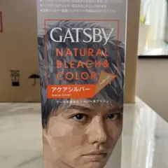 GATSBY NATURAL BLEACH & COLOR アクアシルバー — image 1