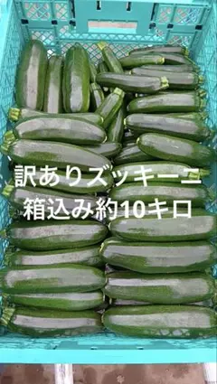 訳ありズッキーニ　箱込み約10キロ — image 1