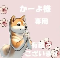 【かーよ様　専用】 — image 1