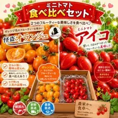 濃厚な甘さ❣️アイコ➕怪盗オランジュ1.2キロ‼️ミニトマト — image 1