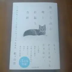 捨てられた僕と母猫と奇跡 : 心に傷を負った二人が新たに見つけた居場所 — image 1