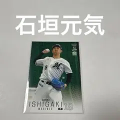 石垣元気 — image 1