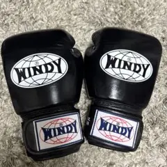 WINDY ボクシンググローブ 10oz ブラック — image 1