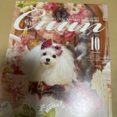 Cun 10月号 2023年 ドッグファッション雑誌 — image 1