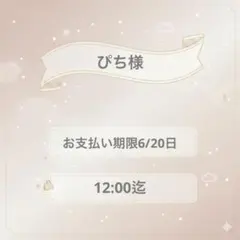 ぴち様専用 — image 1