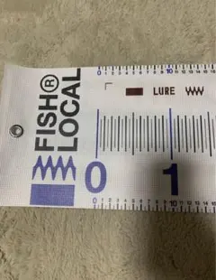 ブルーブルー　FISH LOCAL &アーバンリサーチ　限定メッシュメジャー — image 1