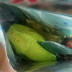 新品未接触 袋付き アンドコ クジラアタック マンボウ スーパーレア — image 1