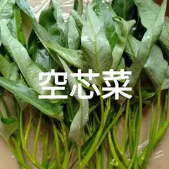 空芯菜　野菜セット — image 1