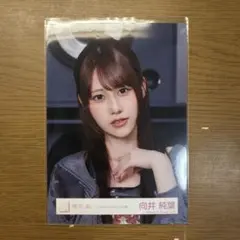 櫻坂46 向井純葉　生写真　Lonesome rabbit MV衣装 — image 1