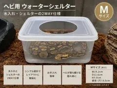 蛇飼育に最適 ウォーターシェルター 水入れ 隠れ家 ボールパイソン【Mサイズ】 — image 1