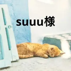 suuu様 リクエスト 2点 まとめ商品 — image 1