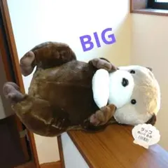 新品♪ ラッコ ぬいぐるみ BIG — image 1