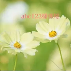 abc123様専用 — image 1