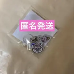 ウォヌ　miniteen アイス　ミニティーン　カプセルトイ — image 1