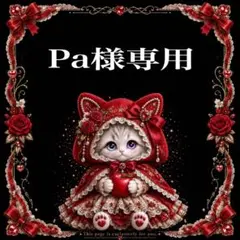 Pa様専用 — image 1