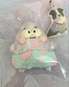 dongdong ドンドン studio スクイーズ パトリック ココオイル — image 1