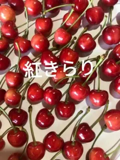 サクランボ紅きらり — image 1