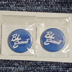 【メルカリ便】 Blue Encount 缶バッジ 福フェス2026　2個セット — image 1