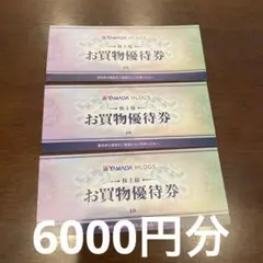 最新　ヤマダ電機　お買物優待券 6000円分 — image 1