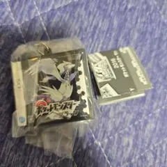 ポケットモンスター パッケージ&ゲームカードキーホルダーコレクション　ブラック — image 1