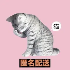 スタンドストーンズ　灰色メロン　カイカイ　猫　サバトラ — image 1