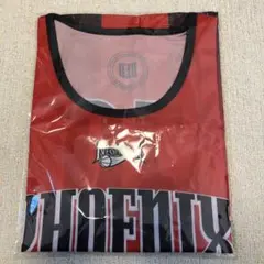 三遠ネオフェニックス　来場者配布バスケシャツ — image 1