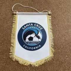 Santa Cruz Breakers Academy ペナント — image 1