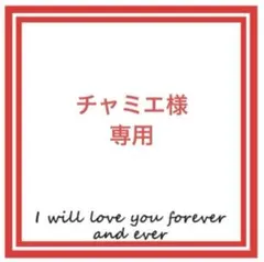 【チャミエ様専用】 — image 1
