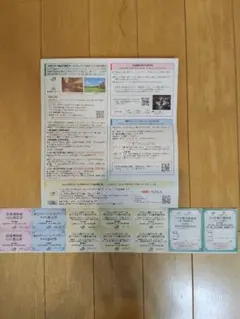 JR東日本 株主優待割引券セット — image 1