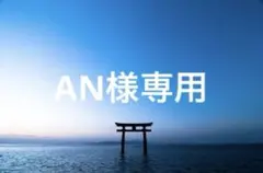 AN様専用出品 — image 1