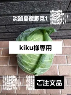kiku様専用、淡路島産野菜セットご注文品 — image 1