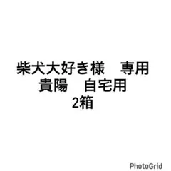 柴犬大好き様　専用　貴陽　自宅用　2箱 — image 1