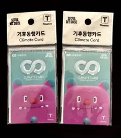 韓国 気候同行カード 2枚（ソウル 乗り放題） — image 1