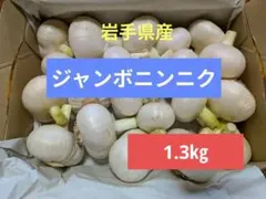 収穫したて　岩手県産ジャンボニンニク — image 1
