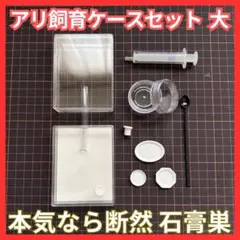 アリ飼育ケース(大) 餌場(大)付き 【アリの巣】【スターターキット】 — image 1