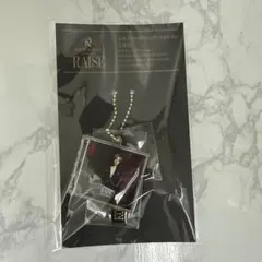 KOICHI DOMOTO LIVE TOUR 2025 RAISE グッズ — image 1